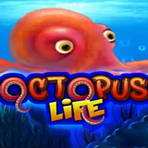 P0809.com platform-online Slots Brasil #1 Live Casino